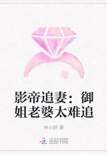 影帝追妻:御姐老婆太难追