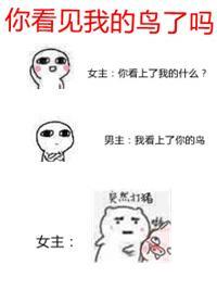 你看见我的鸟了吗校对版