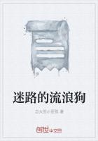 丑女医妃,不要跑卫子瑶祁千澈