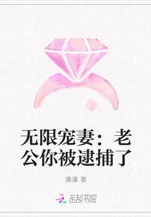 无限宠妻:老公你被逮捕了