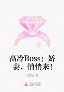 高冷Boss:娇妻,悄悄来!