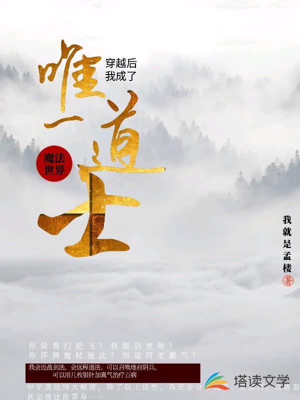 穿越魔法世界:我成了唯一道士