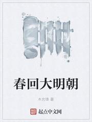 杨丰木允锋春回大明朝全文
