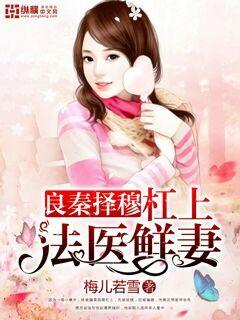 良秦择穆:杠上法医鲜妻