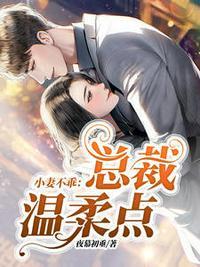 小妻不乖:总裁温柔点