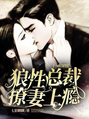 一夜深情:狼性总裁,撩妻上瘾
