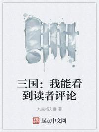 三国:我能看到读者评论