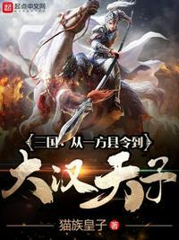 三国:从一方县令到大汉天子唐硕