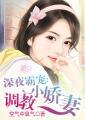 深夜霸宠:调教小娇妻