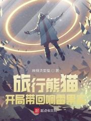 旅行熊猫:开局带回响雷果实