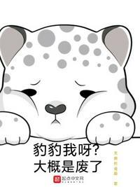 豹豹我呀?大概是废了零冲