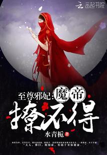 至尊邪妃:魔帝,抱不得