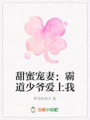 甜蜜宠妻:霸道少爷爱上我