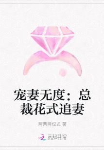 宠妻无度:总裁花式追妻