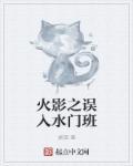 至尊狂婿林栋沈心若