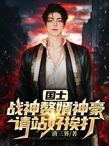 国士:战神赘婿神豪请站好挨打