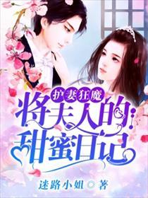 护妻狂魔:将夫人的甜蜜日记