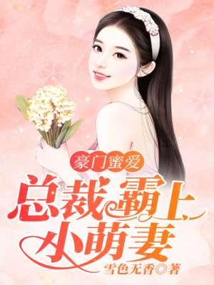 豪门蜜爱:总裁霸上小萌妻