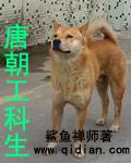妻子的谎言雷天磊