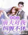 离婚后,前夫对我纠缠不休!