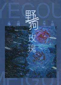 高岭之花,但已婚
