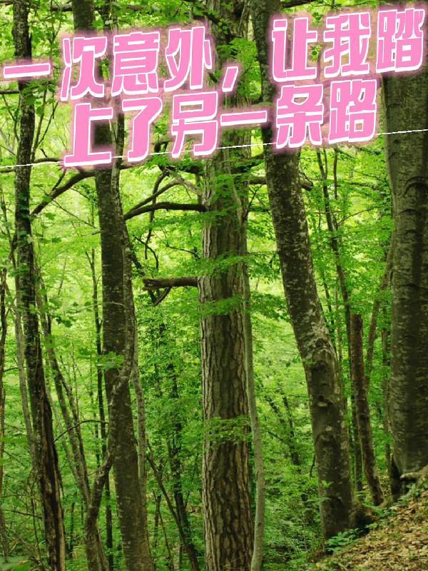 一次意外,让我踏上了另一条路