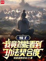 惊了,我竟然能看到功法契合度!