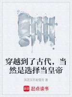 穿越到了古代,当然是选择当皇帝