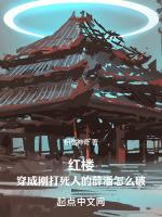 红楼:穿成刚打死人的薛潘怎么破
