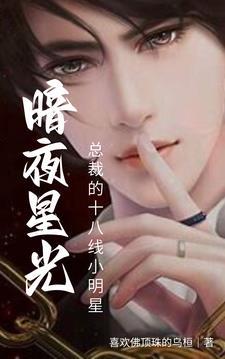暗夜星光:总裁的十八线小明星