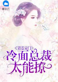 错惹豪门:冷面总裁太能撩苏木子穆谨暄