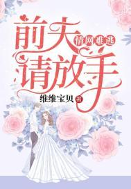 情网难逃:前夫,请放手