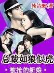 被抢的新娘:总裁如狼似虎