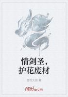 情剑圣,护花废材