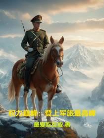 权力巅峰:登上军旅最高峰