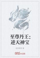 至尊丹王:逆天神宝