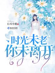 时光未老,你未离开