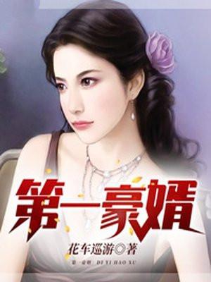 第一豪婿(何佳伟沈艳冰)