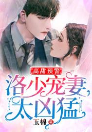 高甜预警:洛少宠妻太凶猛